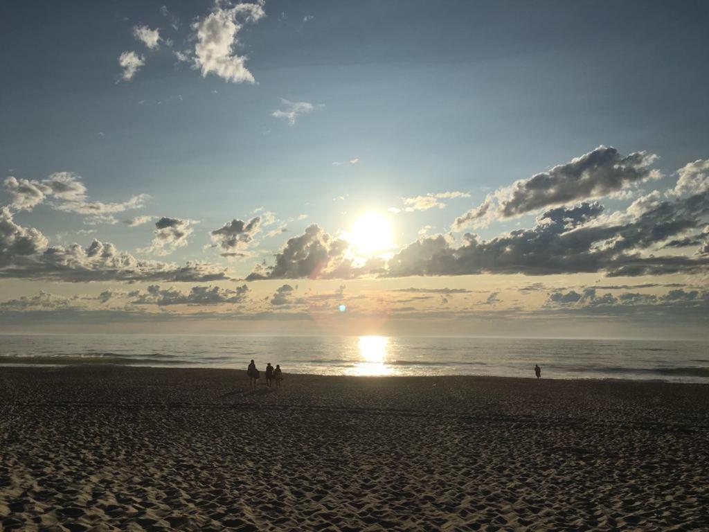 Moradia Proxima Da Praia Do Areinho, Na Ria, E Praia Dos Marretas โอวาร์ ภายนอก รูปภาพ