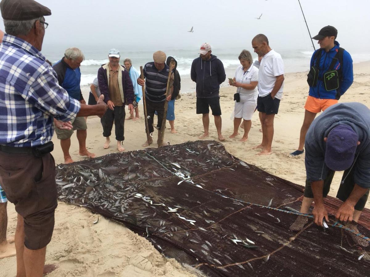 Moradia Proxima Da Praia Do Areinho, Na Ria, E Praia Dos Marretas โอวาร์ ภายนอก รูปภาพ
