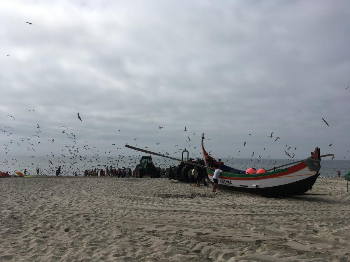 Moradia Proxima Da Praia Do Areinho, Na Ria, E Praia Dos Marretas โอวาร์ ภายนอก รูปภาพ